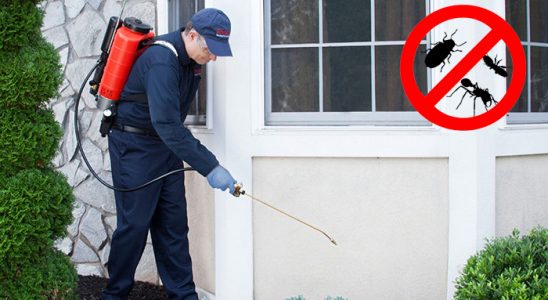 Gevaş Hamam Böceği İlaçlama böcek ilaçlama ve haşere kontrolü — ilaclama-tr.com